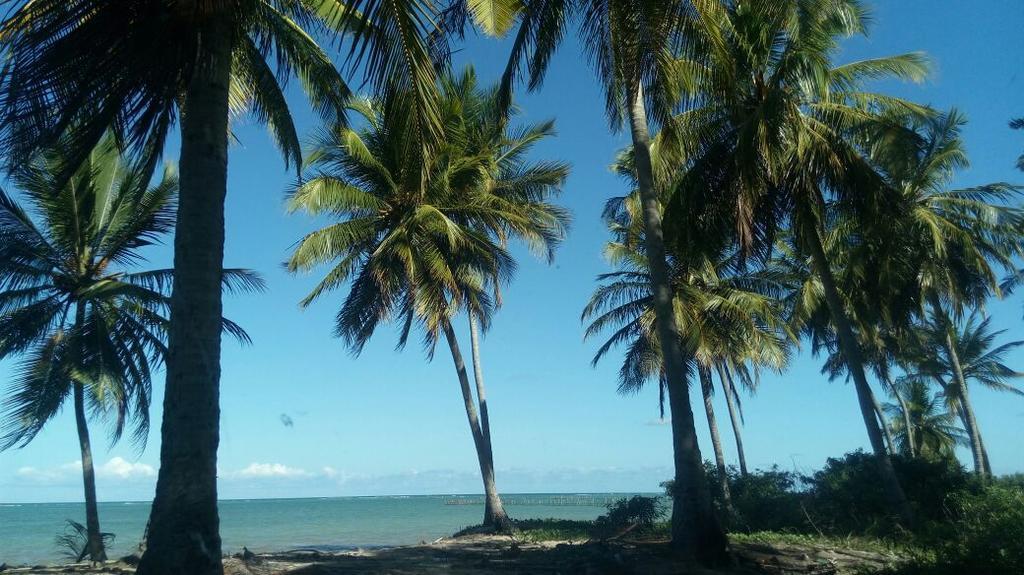Pousada Vale Encantado São Miguel dos Milagres 外观 照片
